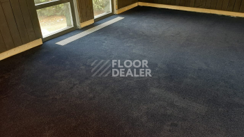 Innova Фризе 7079 фото 6 | FLOORDEALER